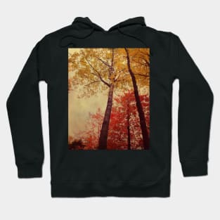 Autumn Couple Hoodie